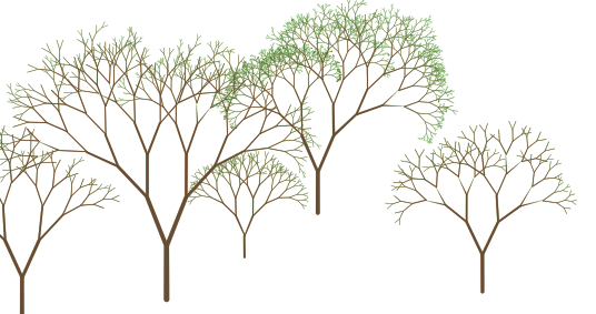 forêt