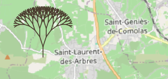 arbre